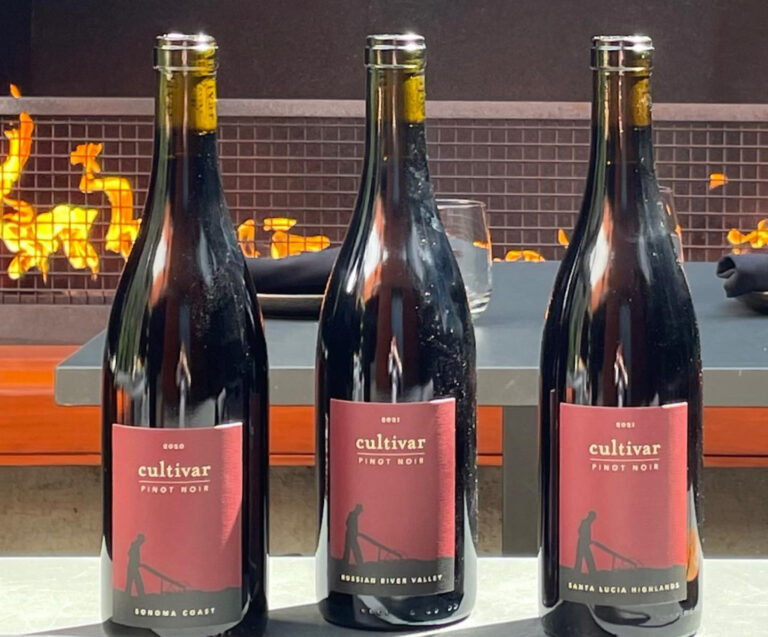 cultivarsanfrancisco4 768x637